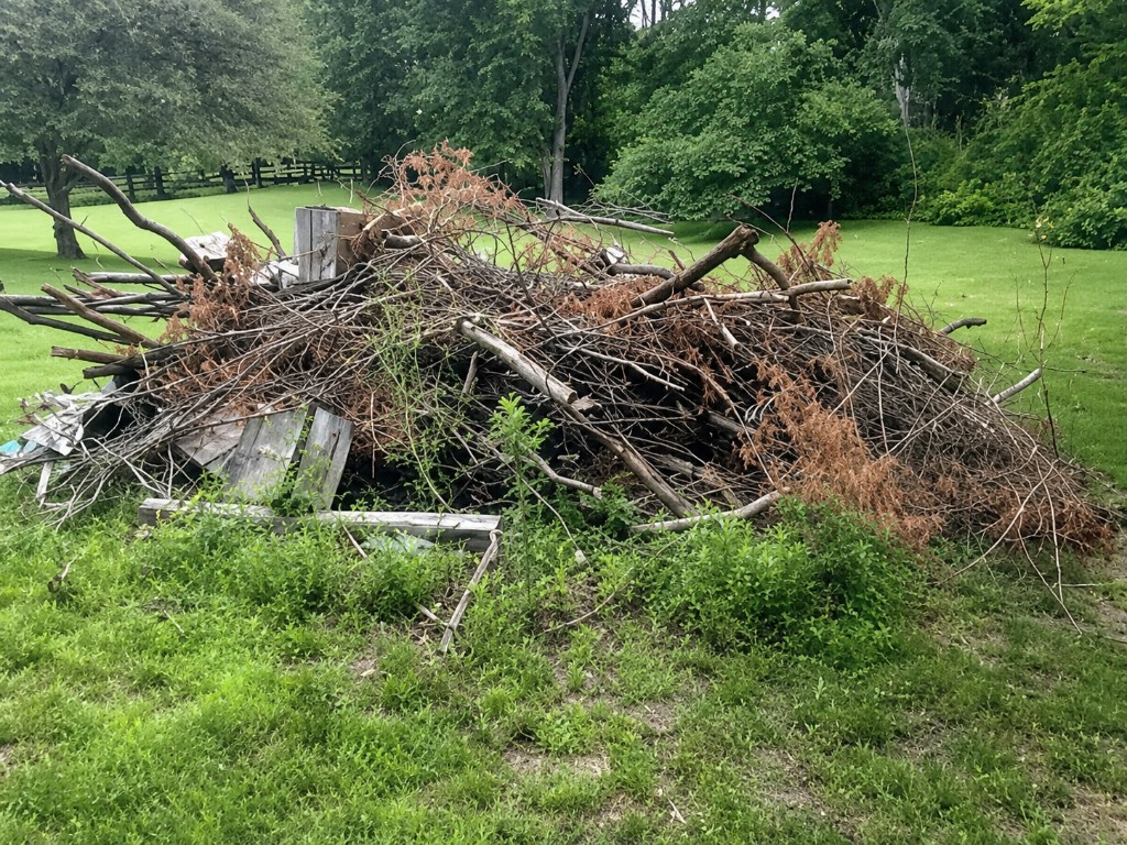 Brush and branch pile on a residential lawn ready for professional haul-away and chipping