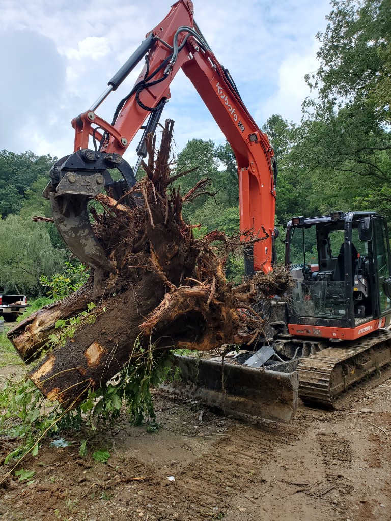 Mini excavator lifting a tree stump and root ball out of the ground during stump removal