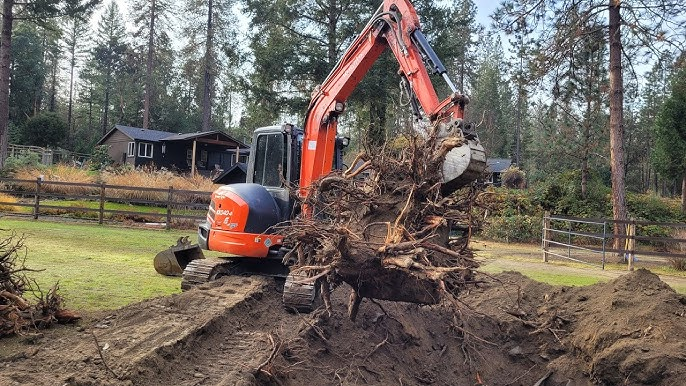 Kubota mini excavator with thumb removing a large tree stump on a clearing job
